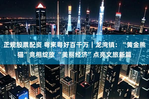 正规股票配资 粤来粤好百千万｜龙湾镇：“黄金熊猫”竞相绽放 “美丽经济”点亮文旅新篇