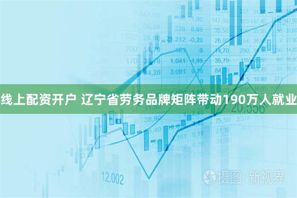 线上配资开户 辽宁省劳务品牌矩阵带动190万人就业